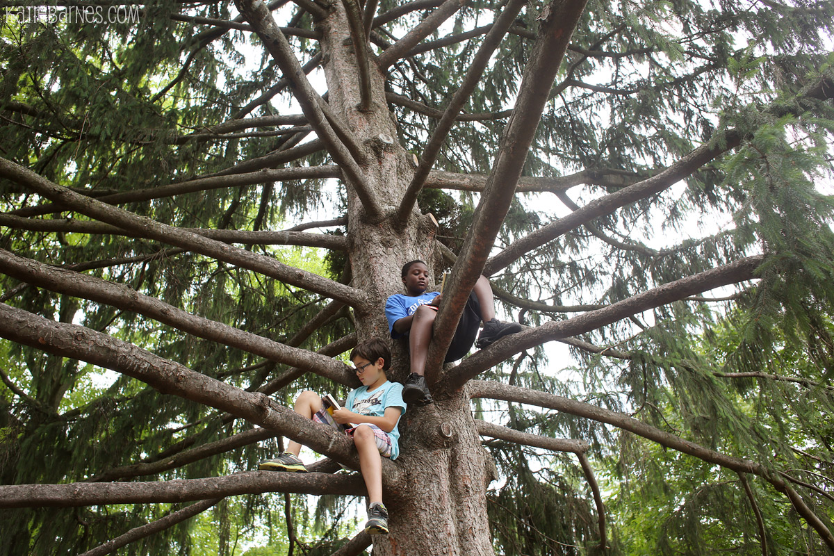 Columbia, MO – Educational Freelance Photography – Students Reading in Trees